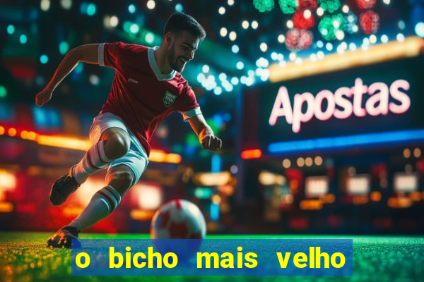 o bicho mais velho da loteria dos sonhos